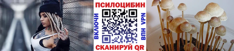 закладка  Аксай  Галлюциногенные грибы ЛСД 