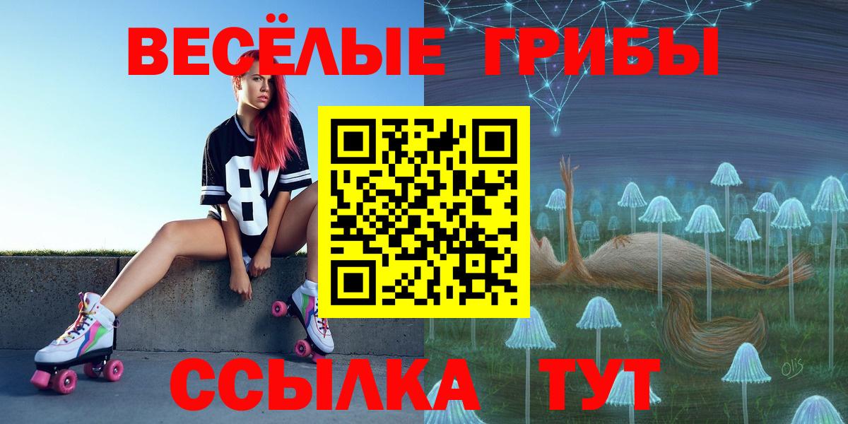 Галлюциногенные грибы Psilocybine cubensis Аксай