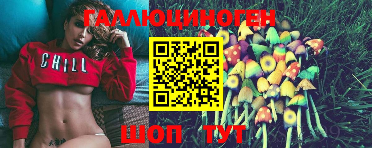 Псилоцибиновые грибы Psilocybe  Вход с VPN  Аксай 